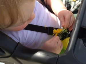 01c27df1b4e594a211605acef0457a6664a8bc344c