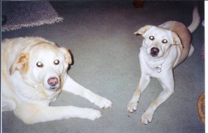 Brandy and Sierra summer 2002 001