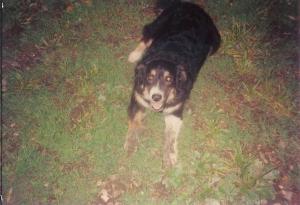 Maybelle 1992 001