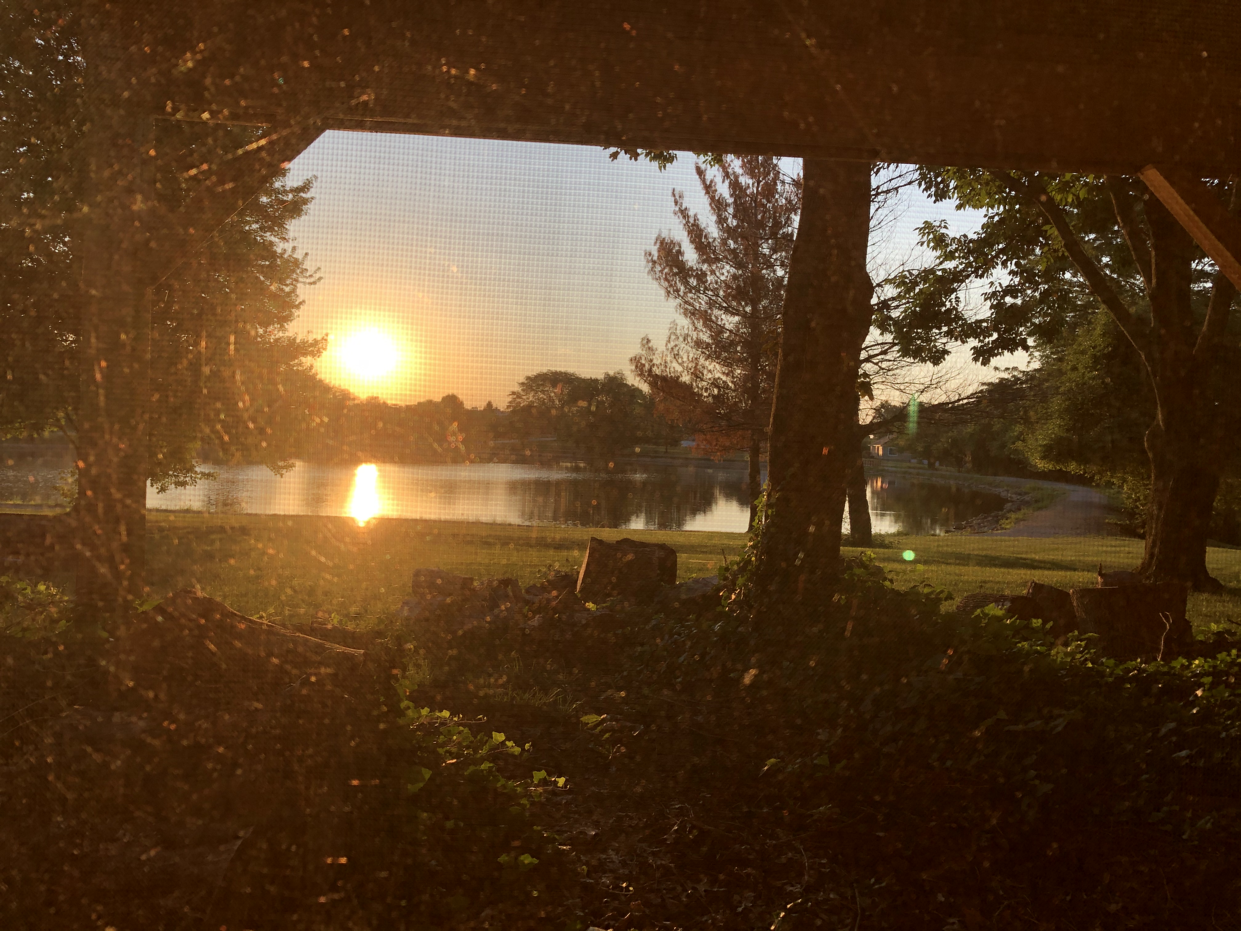 998B1A07-EC74-4B89-AD63-DE8B5C5CF984