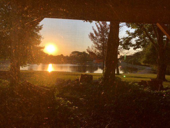 998B1A07-EC74-4B89-AD63-DE8B5C5CF984